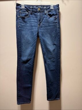 American Eagle Outfitters Navy Skinny Jeans